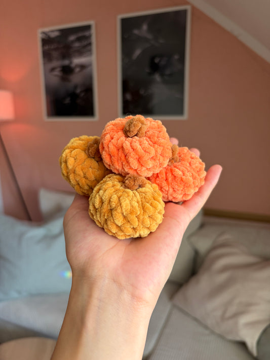 Dekokürbis Mini